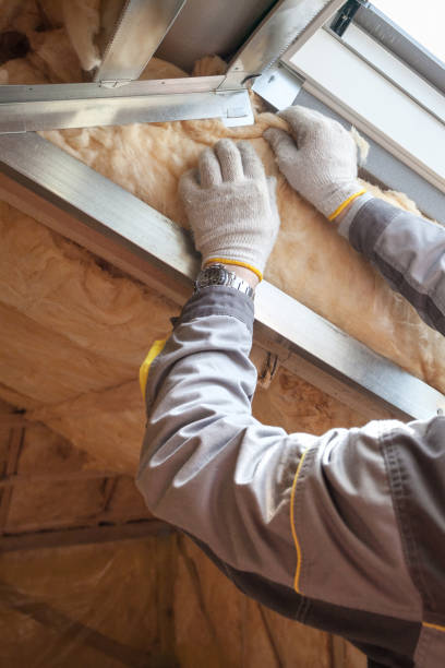 Best Crawl Space Insulation  in Lakeview, CA