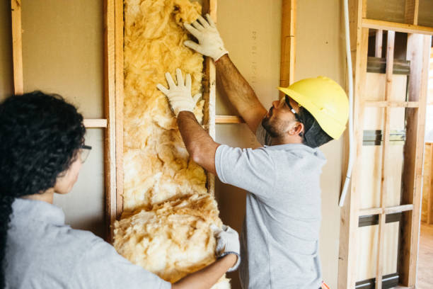 Best Wall Insulation Installation  in Lakeview, CA