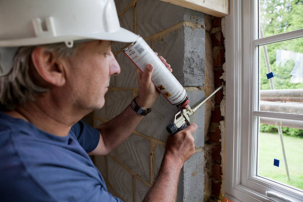 Best Spray Foam Insulation  in Lakeview, CA