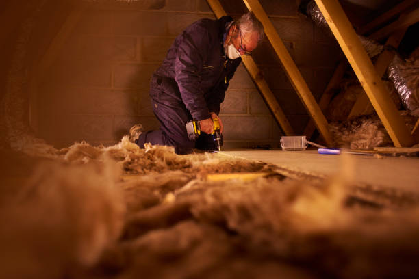 Best Attic Insulation Installation  in Lakeview, CA