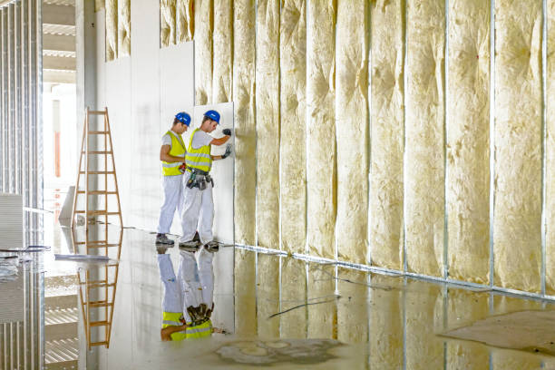 Best Pipe and Duct Insulation  in Lakeview, CA